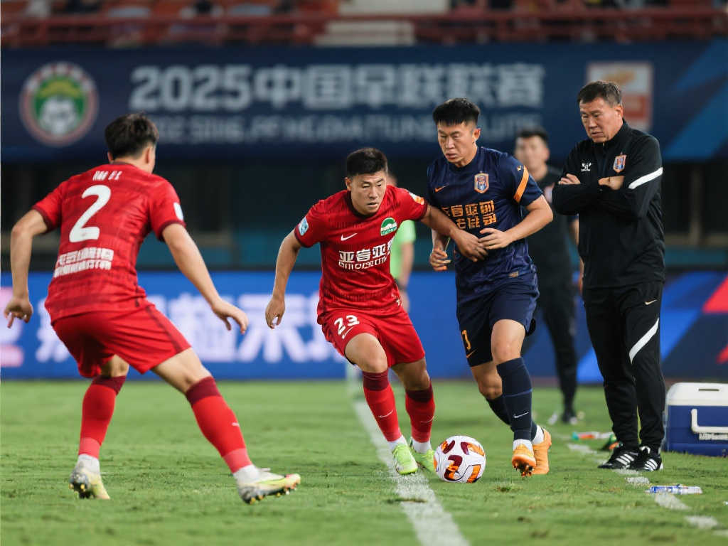 球迷的喜爱 球迷的喜爱